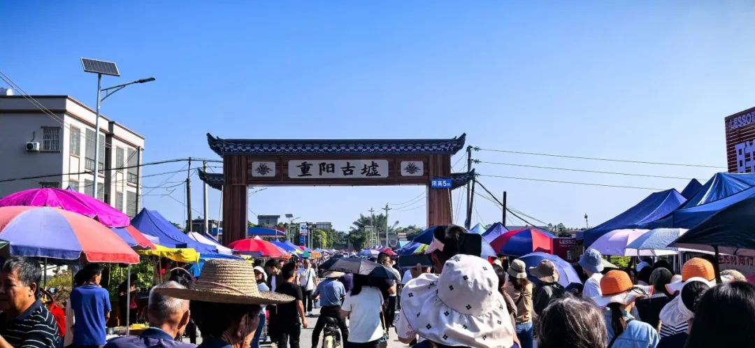 振兴乡村旅游——协办阳春市重阳古墟第八届中草药药膳美食节活动